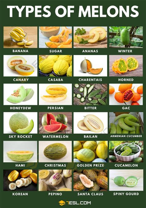 melonstu|13 Types of Melons to Try While Theyre In Season